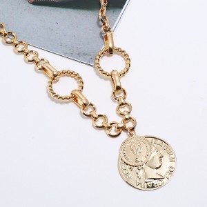 Fashion new style Exaggerated Simple Thick Chain Geometric Necklace Cool Head round Sweater Chain Female gold pendant necklaces